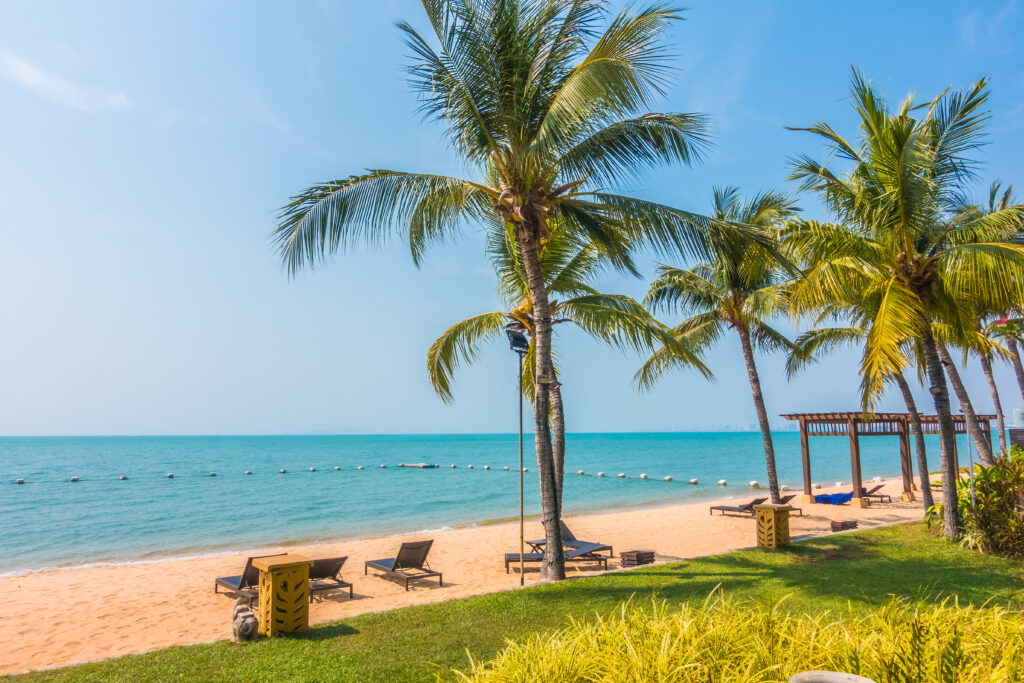 An image showing beach with coconut trees and benches below them